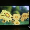 50 inch smart android led tv