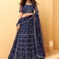 Blue Net Embroidered Lehenga Choli