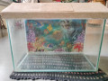 Aquarium for home